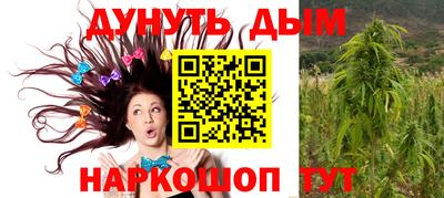 шишки Балашиха