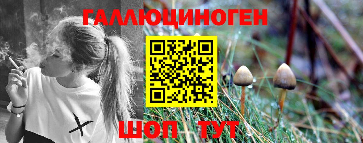 Добрянка  Галлюциногенные грибы Cubensis  как найти закладки  Вход с VPN 